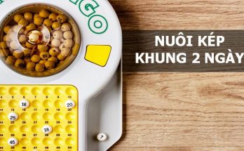 Lô kép nuôi khung 2 ngày